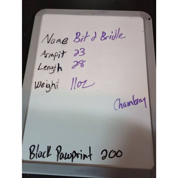 Bit and Bridle Shirt Men's Large Chambray Blue Green Button Front Short Sleeve - Picture 7 of 7